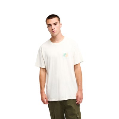 T-Shirt manches courtes EVO VIBES QUIKSILVER