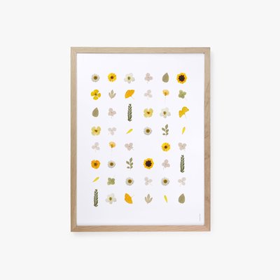 Sunflowers, affiche, cadre chêne 50x70cm COTTON BIRD