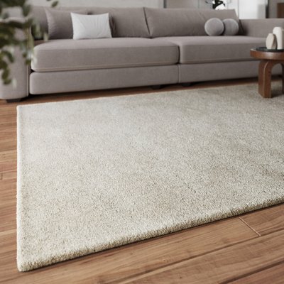 Tapis à poils longs doux pour salon ,  PISA HOMIE LIVING