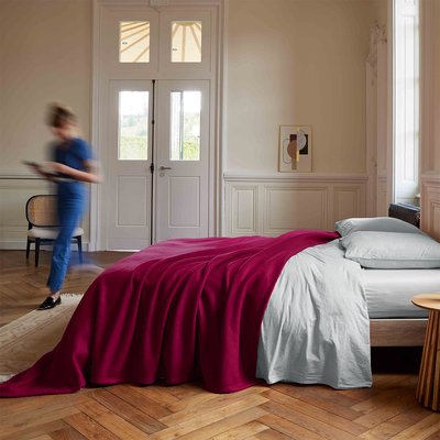 Couverture TEDDY TOISON D OR