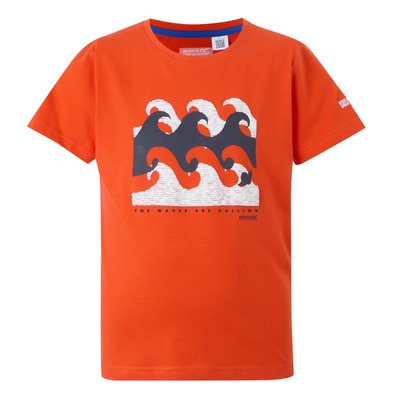 T-shirt BOSLEY REGATTA