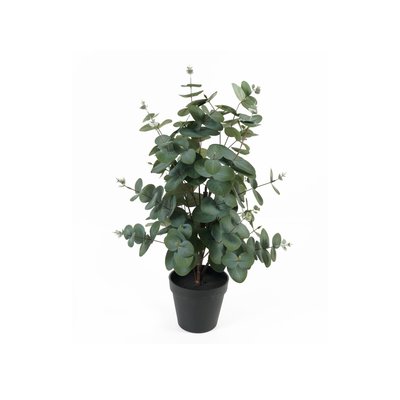 Plante Artificielle Plastique EUCALYPTUS LEAF PRESENT TIME