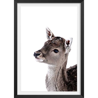 Affiche enfant faon sous la neige HEXOA