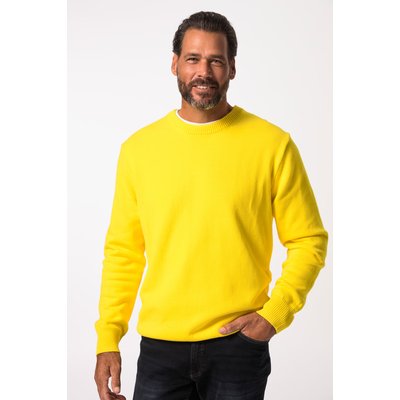 Pull en coton à col rond, broderie JP1880