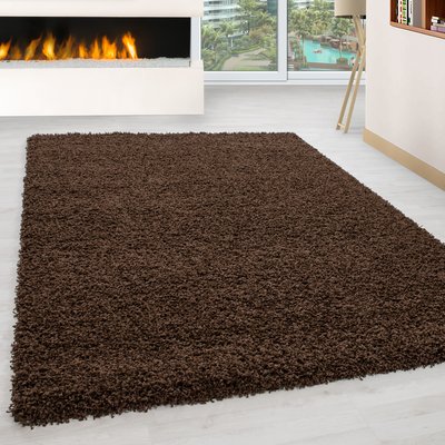 Tapis intérieur à poils longs OTTAWA NAZAR RUGS
