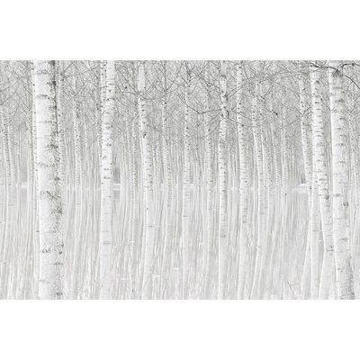 Tableau nature perspective trees HEXOA