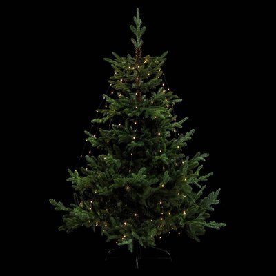 Robe lumineuse extérieur 232 LED blanc chaud H220cm avec transfo FEERIC LIGHTS & CHRISTMAS