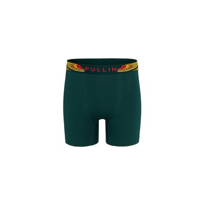 BOXER LONG COTON WINGSGREEN PULLIN