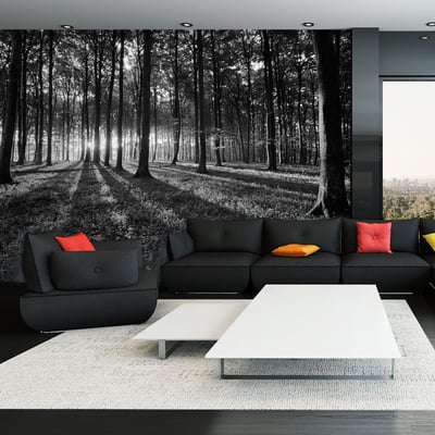 Papier peint intissé panoramique Paysage The Light in the Forest EDEN
