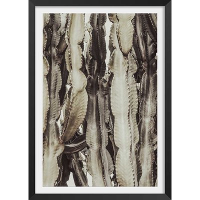 Poster cactus mood HEXOA