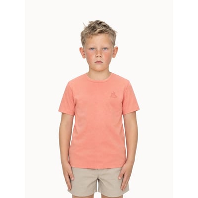 T-shirt Essentiels LE COQ SPORTIF