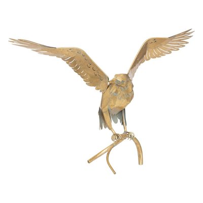 Aigle KADI ATMOSPHERA