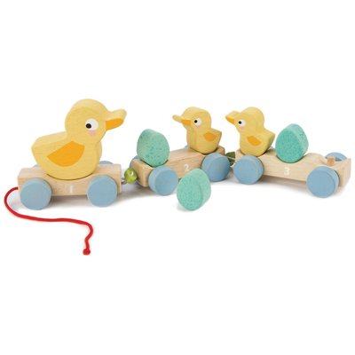 Canards à tirer TENDER LEAF TOYS