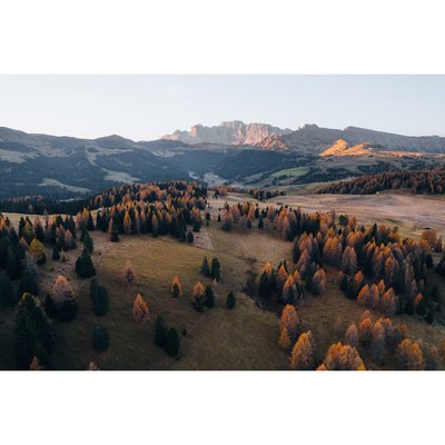 Tableau Mural Champ Automnal GRANDS ESPACES CEANOTHE