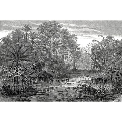 Tableau gravure forêt de mangroves HEXOA