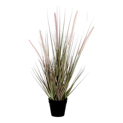 Plante artificielle DOGTAIL MICA DECORATIONS