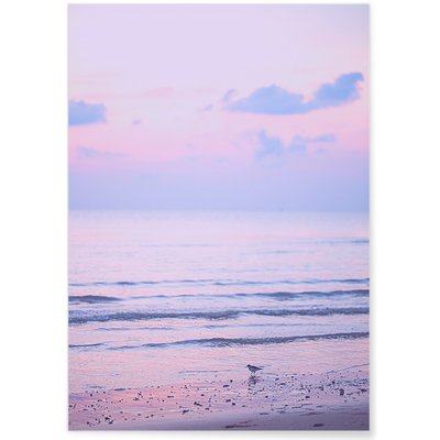 Poster Nature Ciel Rose 5 L'AFFICHERIE