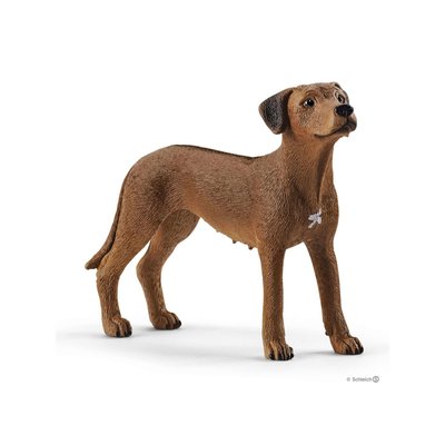 Chien de Rhodésie à crête dorsale SCHLEICH