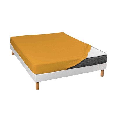 Drap housse coton jersey bonnet 30 cm TERRE DE NUIT