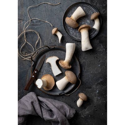 Tableau Mural Champignons CUISINE CEANOTHE