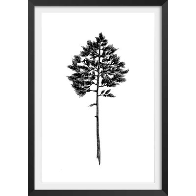 Poster pin landais HEXOA