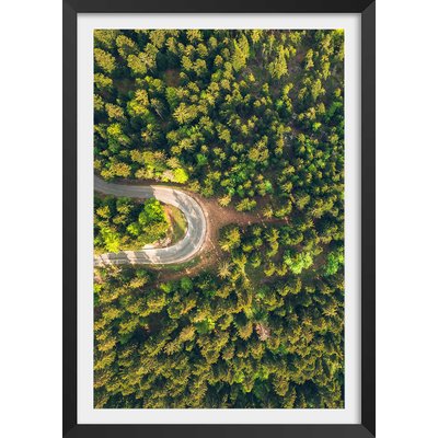 Affiche nature urbaine l' aventure HEXOA