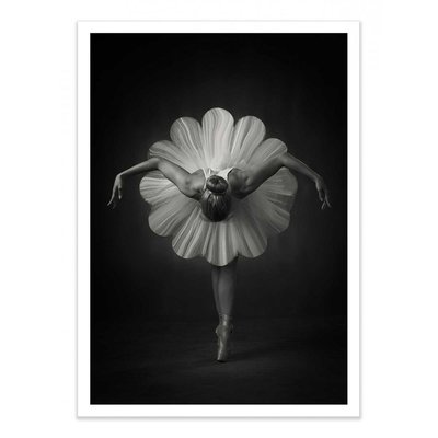 Affiche d’art et cadre noir 50 x 70 cm - Floral Ballet - Catchlight Studio WALL EDITIONS