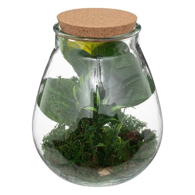 Terrarium BOTA ATMOSPHERA