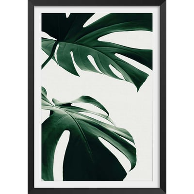 Affiche  monstera due HEXOA