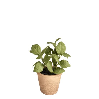 Basilic en pot effet terre cuite artificiel H14 SIA DECO