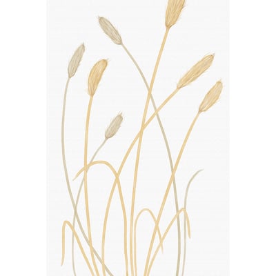 Tableau scandi blés 2 HEXOA