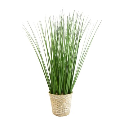 49cm Artificial Grass in Rattan Basket SO'HOME