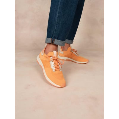 Chaussures de running JELLINA TBS