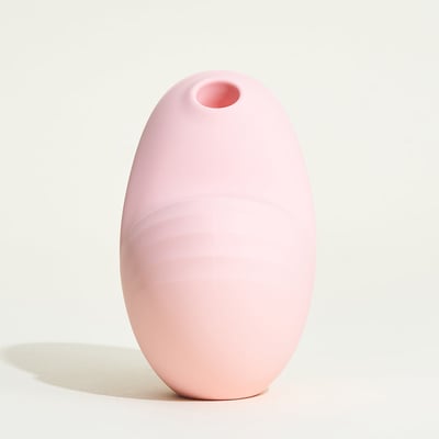 Stimulateur Clitoridien Namii BIIRD