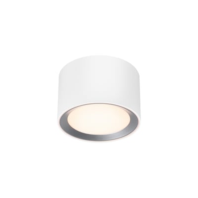 Spot Cylindrique et minimaliste de salle de bain en métal, LANDON Smart NORDLUX