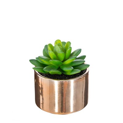 Plante artificielle ATMOSPHERA
