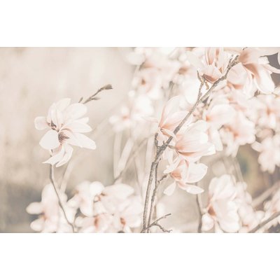Tableau de fleurs douceur et fleurs printanières HEXOA