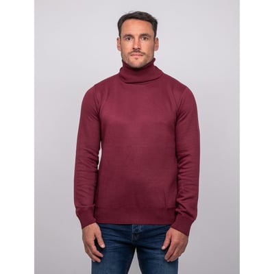 Pull Col Roulé Larlequin RITCHIE