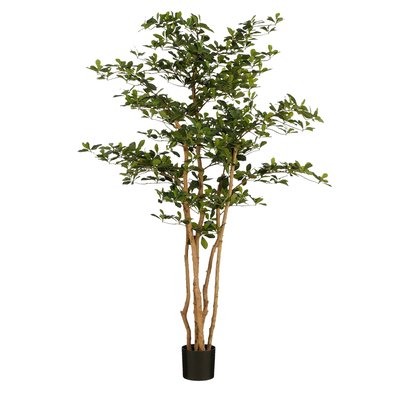 Plante artificielle OLIVE TREE MICA DECORATIONS
