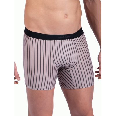 Boxer RED2303 OLAF BENZ