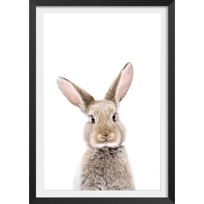Affiche enfant bébé lapin HEXOA