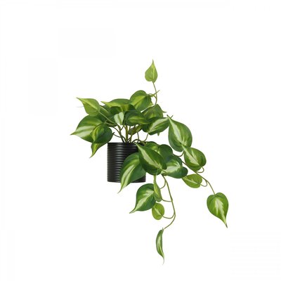 Plante artificielle tombante pothos 50cm LIGNE DECO