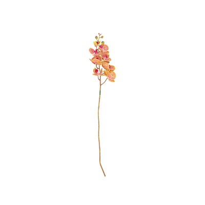 Fleur ORCHID VILLA COLLECTION
