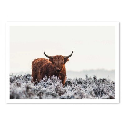 Affiche d’art 50 x 70 cm -Art-Poster  -  Highlander - Jaap van den WALL EDITIONS