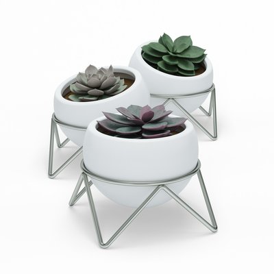 Set De 3 Cache-pots Design Céramique Avec Support  Potsy UMBRA