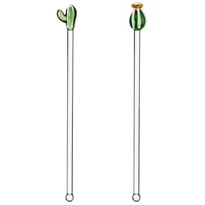 Mélangeur Cactus Vert lot de 2 ICHENDORF