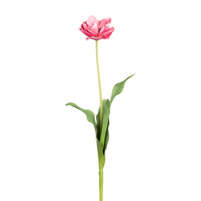 Tige de tulipe double artificielle H70 SIA DECO