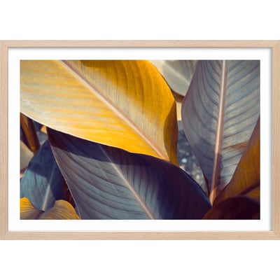 Affiche palm leaves y HEXOA