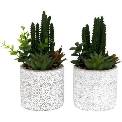 Plante succulente artificielle pot en ciment (Lot de 2) JARDINDECO