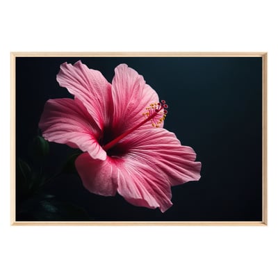 Tableau Mural Encadré Fleur Hibiscus Rose FLEUR CEANOTHE